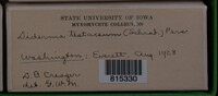 Image Associated With the Occurence